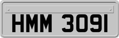 HMM3091