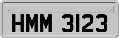 HMM3123