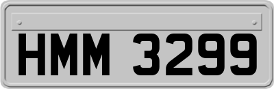 HMM3299