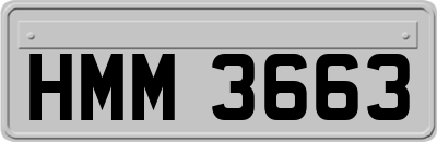 HMM3663