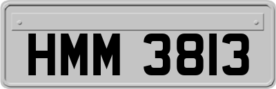 HMM3813
