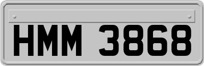 HMM3868