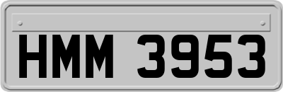 HMM3953