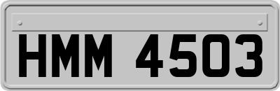 HMM4503