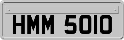 HMM5010