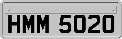 HMM5020