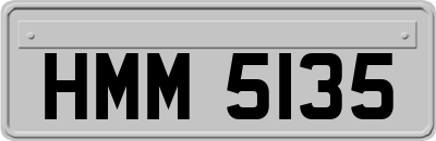 HMM5135