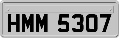 HMM5307