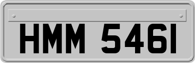 HMM5461