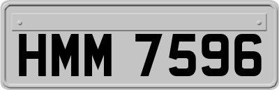 HMM7596