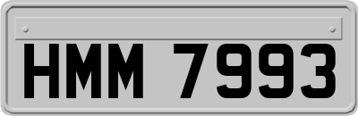 HMM7993