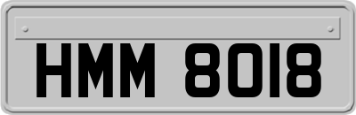 HMM8018