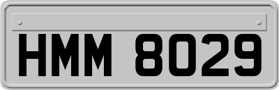HMM8029
