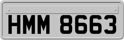 HMM8663
