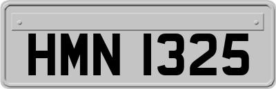 HMN1325