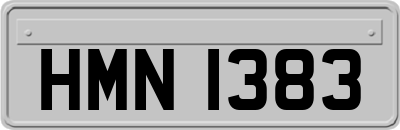 HMN1383