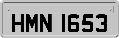 HMN1653