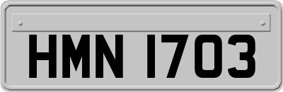 HMN1703