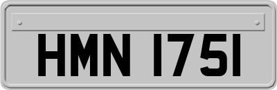 HMN1751