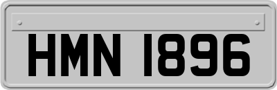 HMN1896