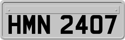 HMN2407