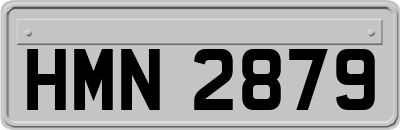 HMN2879