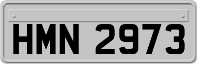 HMN2973
