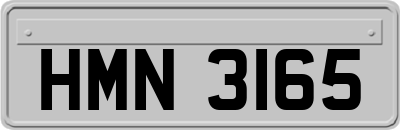 HMN3165