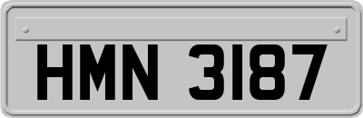 HMN3187