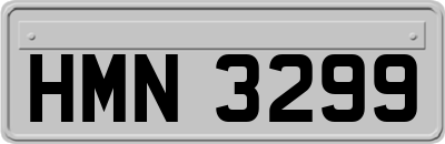 HMN3299