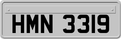 HMN3319