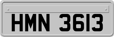 HMN3613