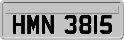 HMN3815
