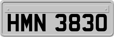 HMN3830