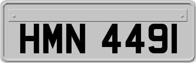HMN4491