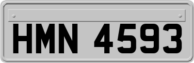 HMN4593