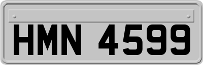 HMN4599