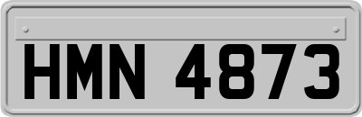 HMN4873
