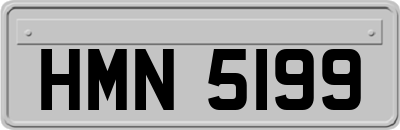 HMN5199