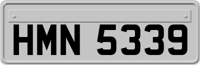 HMN5339