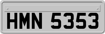 HMN5353