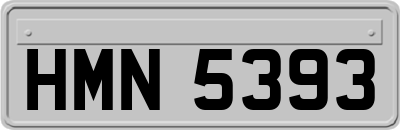 HMN5393