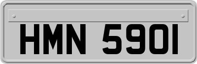 HMN5901