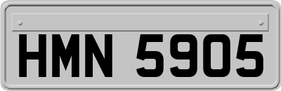 HMN5905