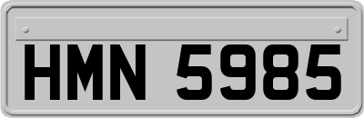 HMN5985