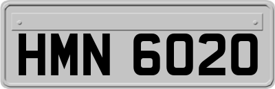HMN6020