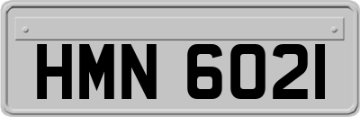 HMN6021