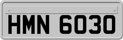 HMN6030