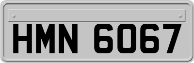 HMN6067