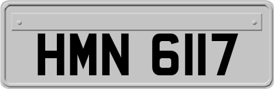 HMN6117
